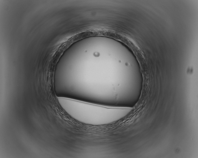 X0000096151016200801181157