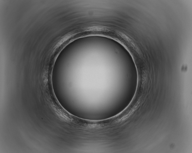 X0000096151017200801181157