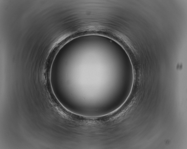 X0000096151018200801181157