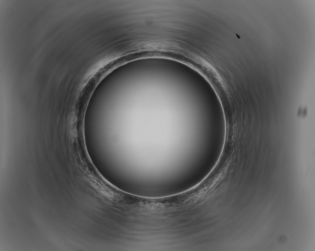 X0000096151019200801181157