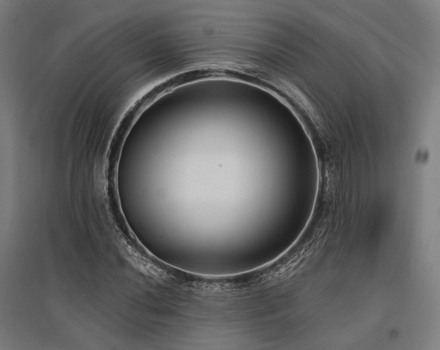 X0000096151020200801181157
