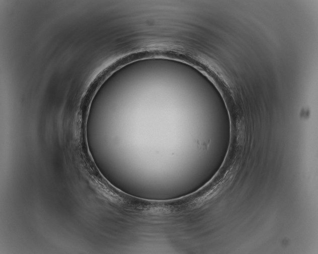 X0000096151021200801181157