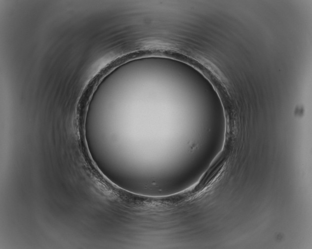 X0000096151022200801181157