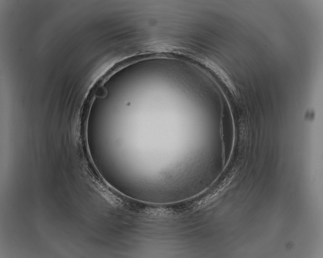 X0000096151023200801181157