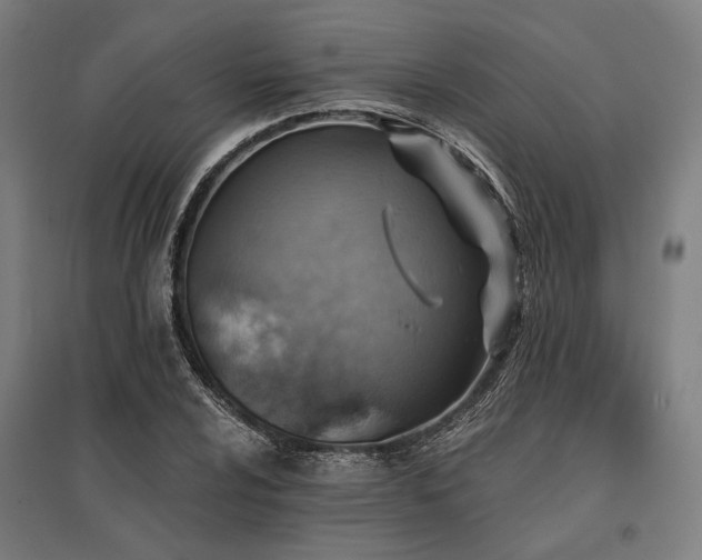 X0000096151024200801181157