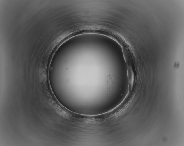 X0000096151025200801181158
