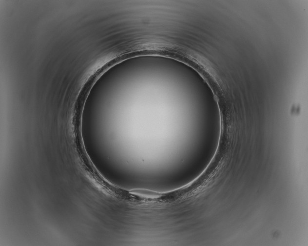 X0000096151026200801181158