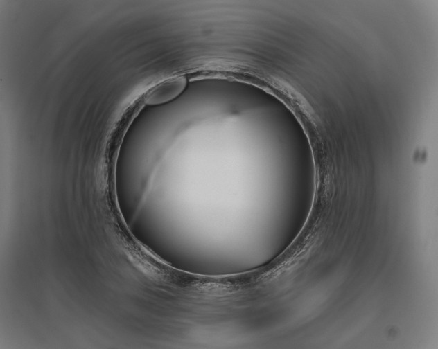 X0000096151027200801181158