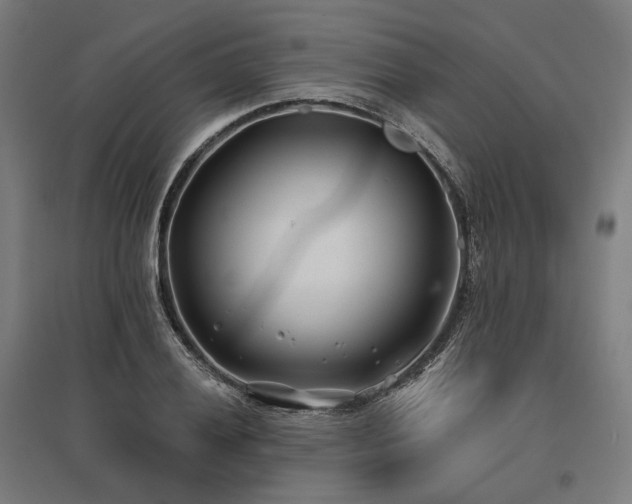 X0000096151028200801181158