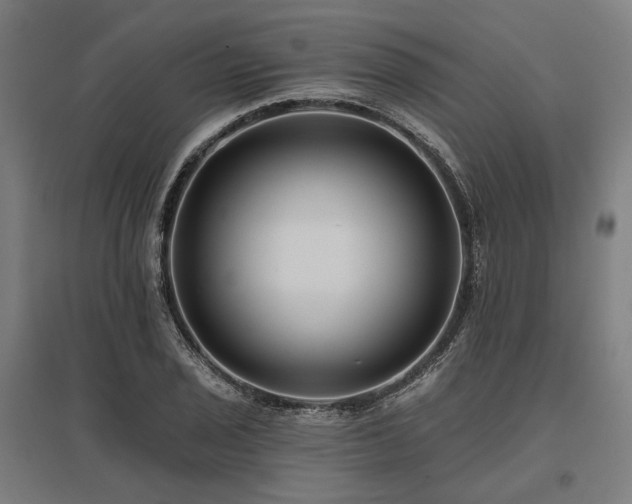 X0000096151029200801181158
