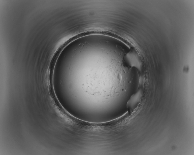 X0000096151030200801181158
