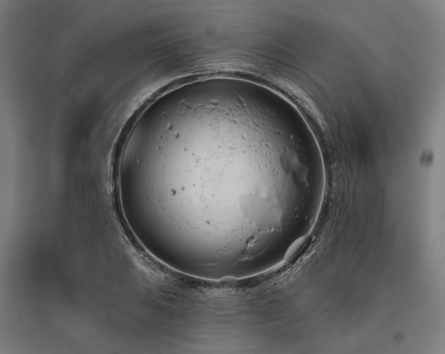 X0000096151031200801181158