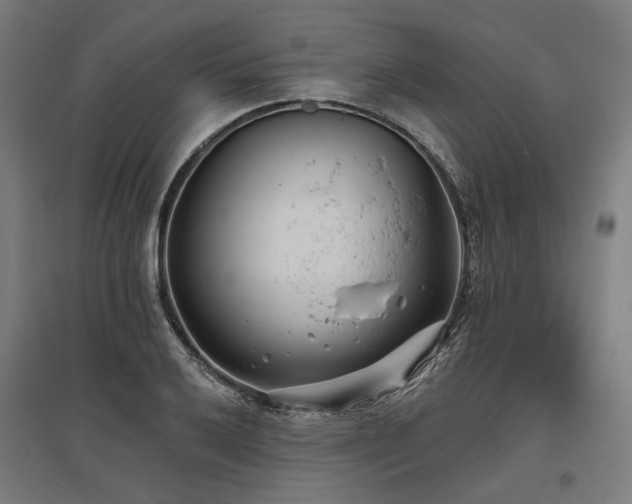 X0000096151032200801181158