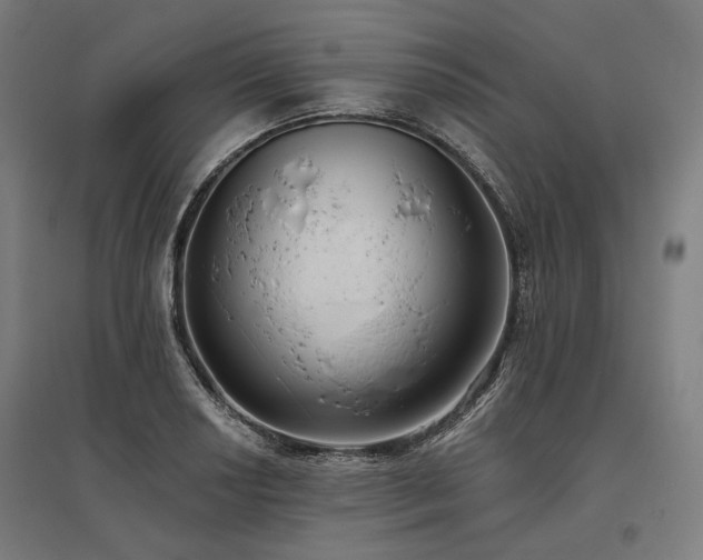X0000096151034200801181158