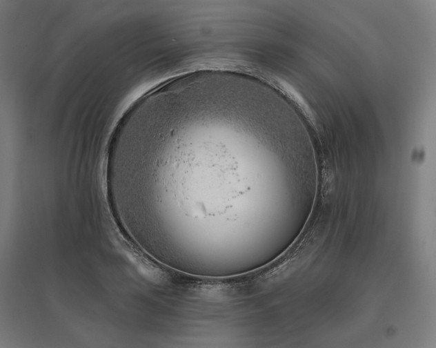 X0000096151035200801181158