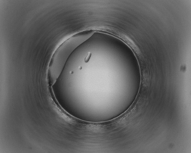 X0000096151036200801181158