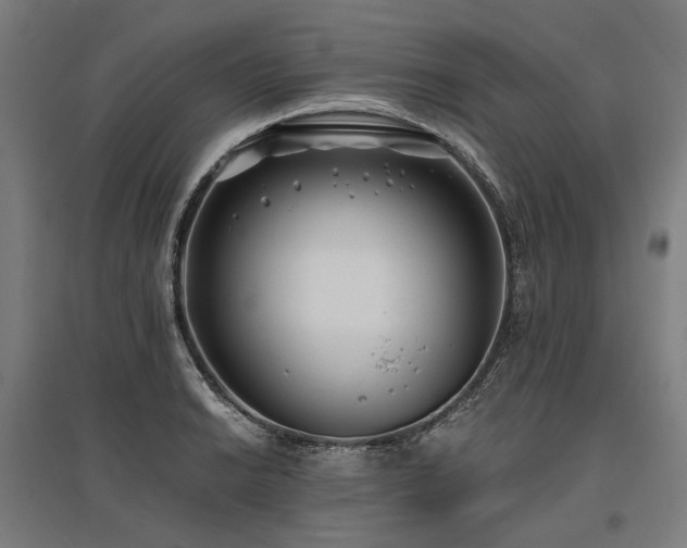 X0000096151038200801181158