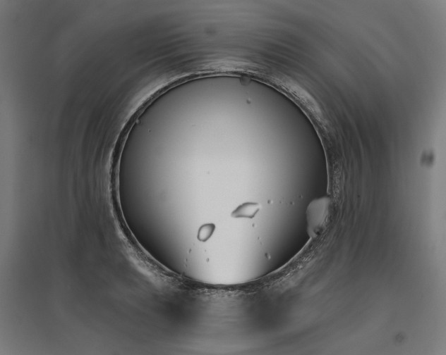 X0000096151039200801181158