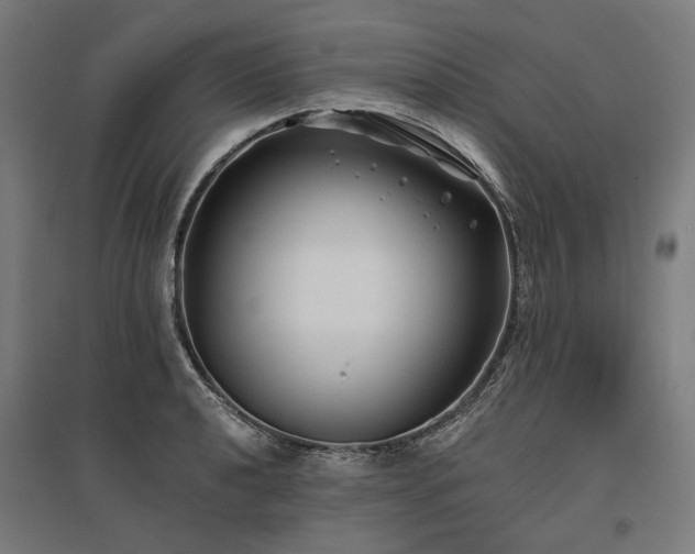 X0000096151040200801181158
