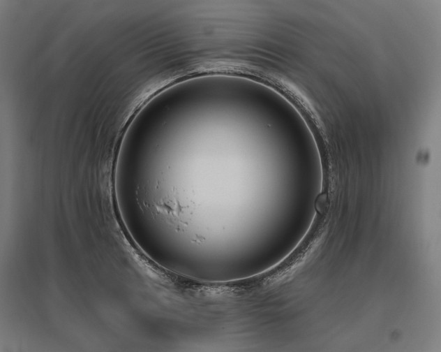 X0000096151041200801181158