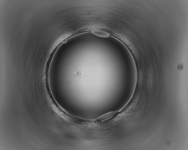 X0000096151042200801181158
