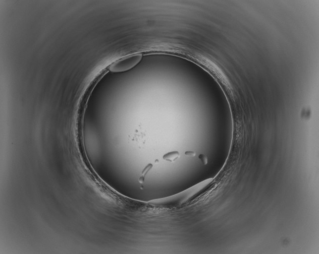 X0000096151043200801181158