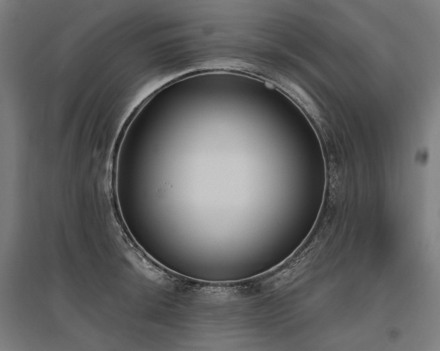 X0000096151044200801181158