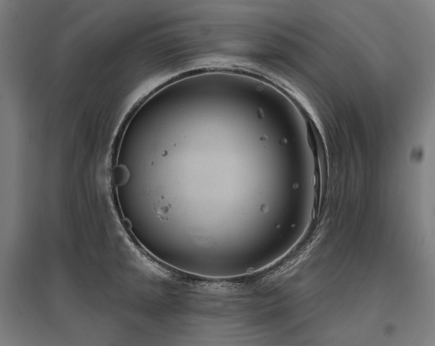 X0000096151045200801181158