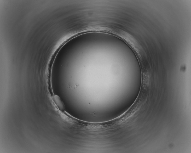 X0000096151046200801181158