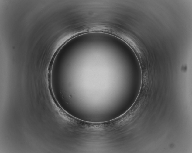 X0000096151047200801181158