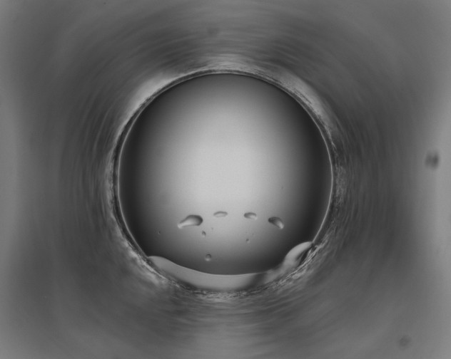 X0000096151048200801181158