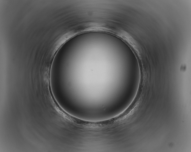 X0000096151049200801181158