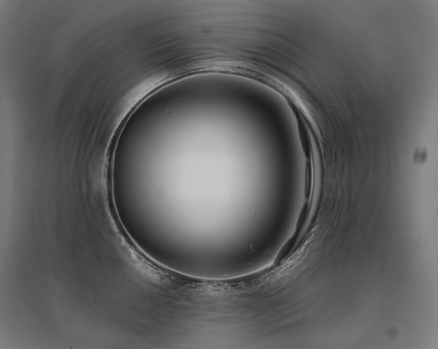 X0000096151050200801181158