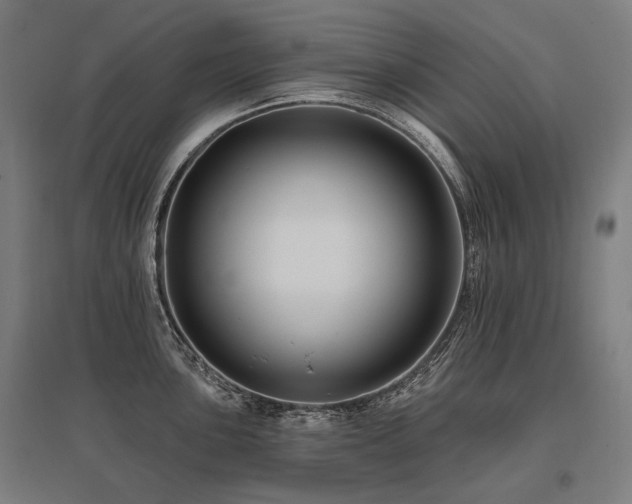 X0000096151051200801181158