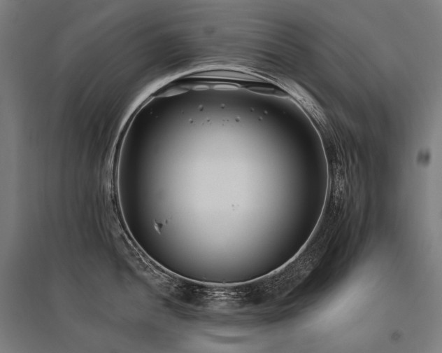 X0000096151052200801181158