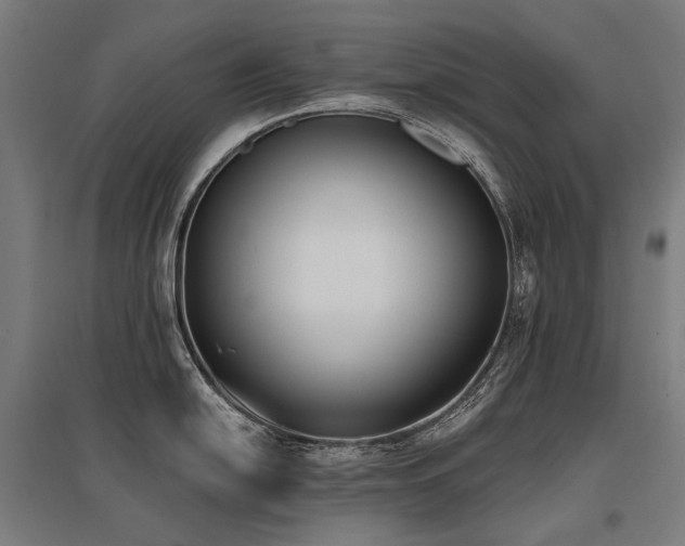 X0000096151054200801181158