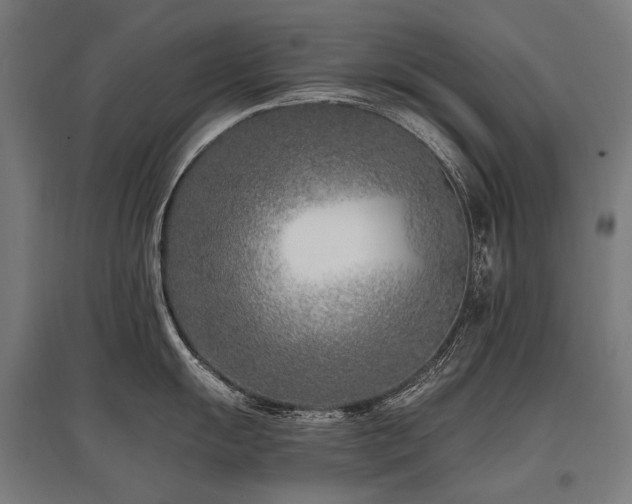 X0000096151055200801181158