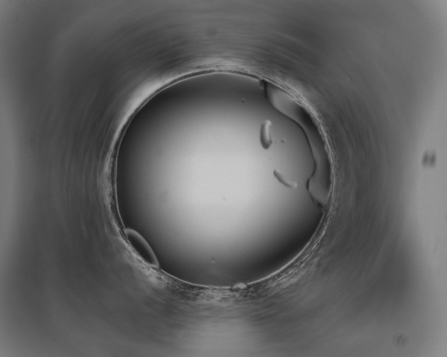 X0000096151056200801181158