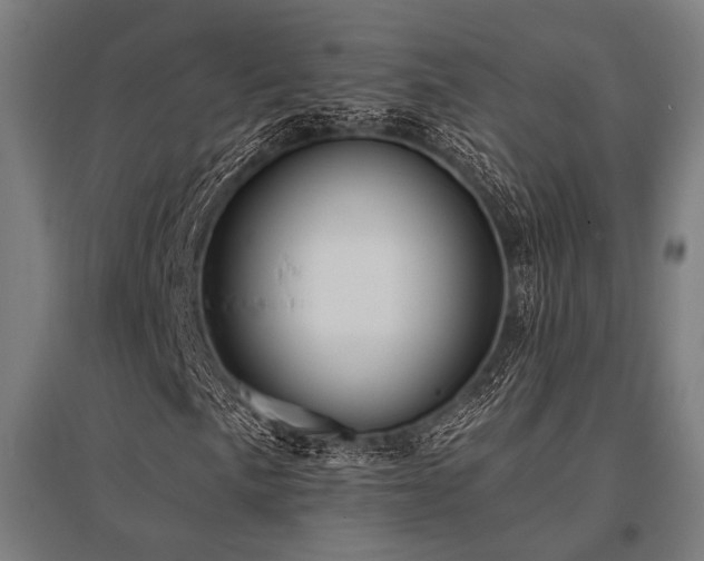 X0000096151057200801181157