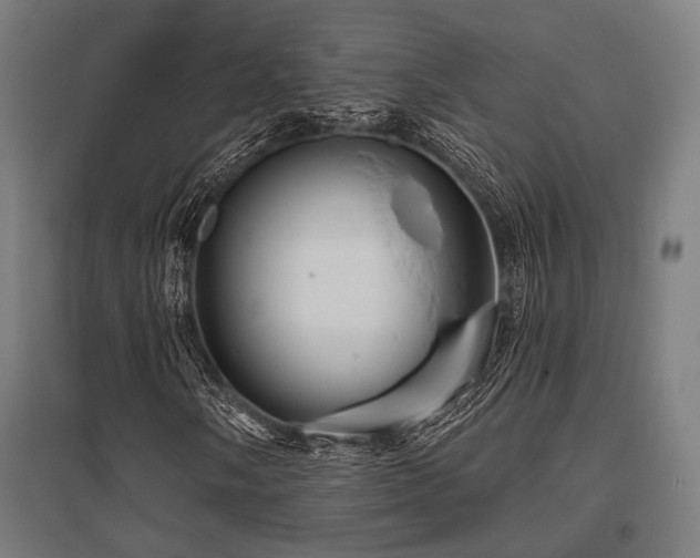 X0000096151058200801181157