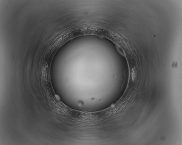 X0000096151059200801181157