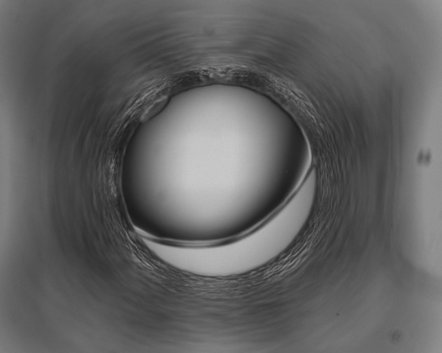 X0000096151060200801181157