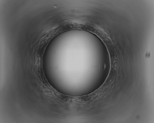 X0000096151061200801181157