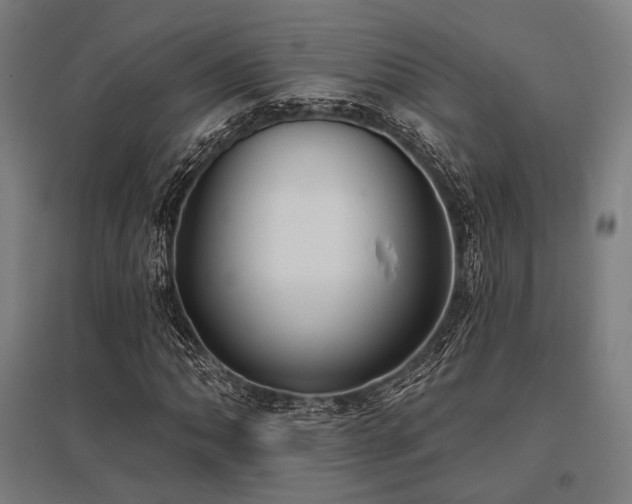 X0000096151062200801181157