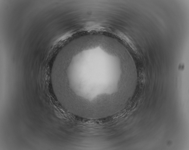 X0000096151063200801181157
