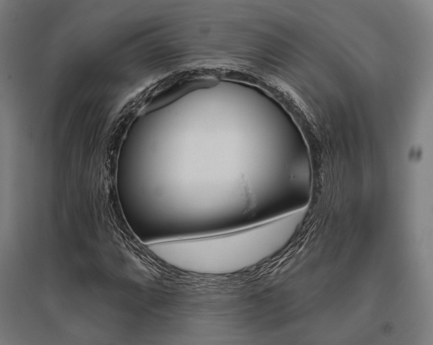 X0000096151064200801181157
