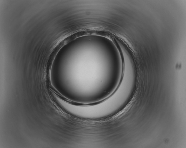 X0000096151065200801181157