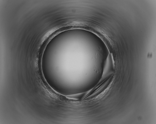 X0000096151066200801181157