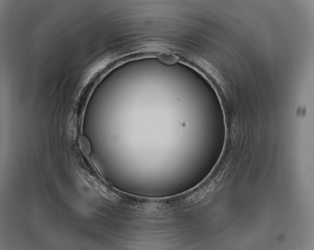X0000096151067200801181157