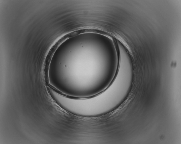 X0000096151068200801181157
